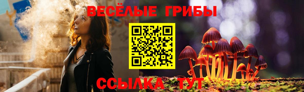 Псилоцибиновые грибы ЛСД Костомукша